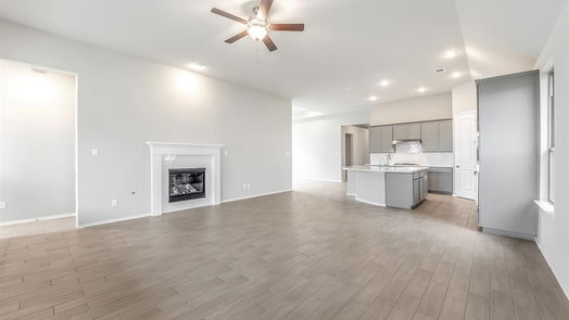 Webster 1-story, 4-bed 413 Livermore Street-idx