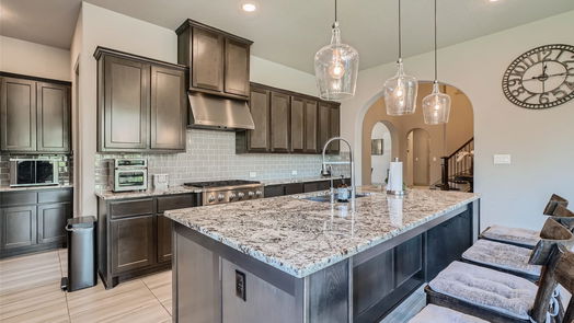 The Woodlands 2-story, 6-bed 23 Hollyflower Place-idx