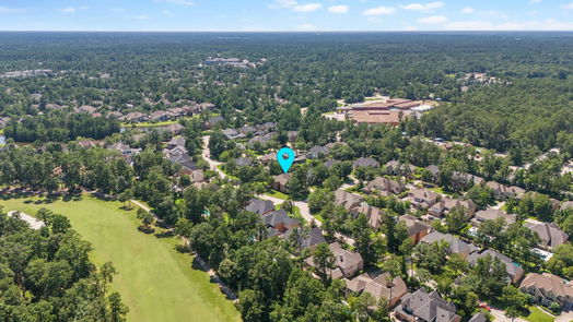 The Woodlands 2-story, 4-bed 78 N Veilwood Circle-idx