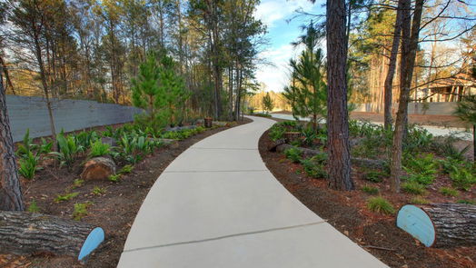 Conroe 1-story, 4-bed 17220 Begonia Bend Court-idx