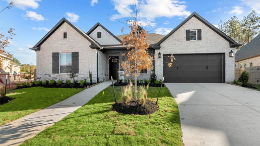 Conroe 1-story, 4-bed 17220 Begonia Bend Court-idx