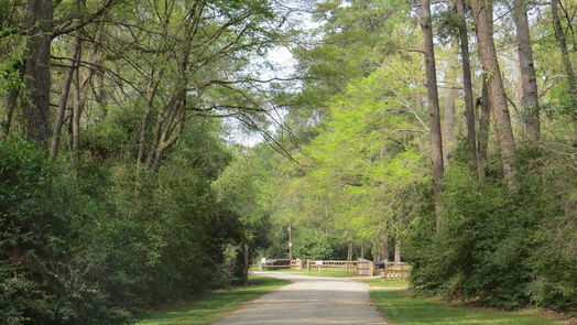 Conroe 2-story, 4-bed 1047 Windy Creek Path-idx