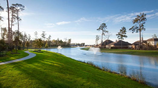 Conroe 2-story, 4-bed 32248 Highwood Green Lane-idx