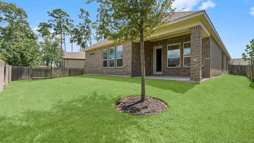 Conroe 1-story, 4-bed 103 Catesby Court-idx