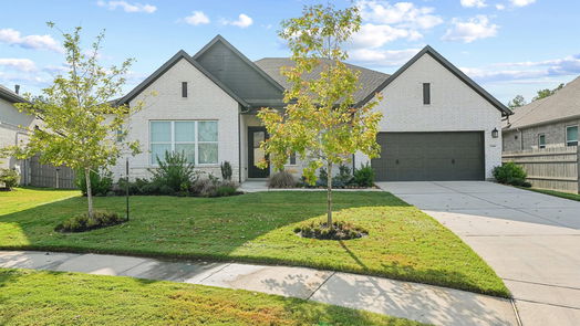 Conroe 1-story, 4-bed 17501 Limoncello Lane-idx