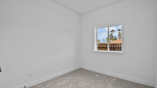 Conroe 1-story, 4-bed 1006 Raindrop Creek Lane-idx