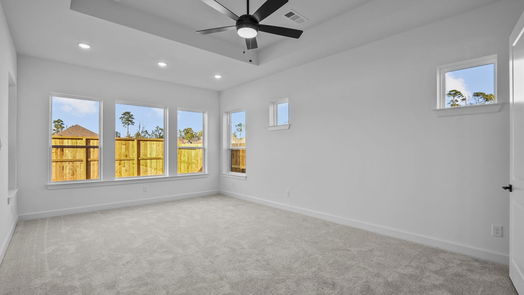 Conroe 1-story, 4-bed 1006 Raindrop Creek Lane-idx