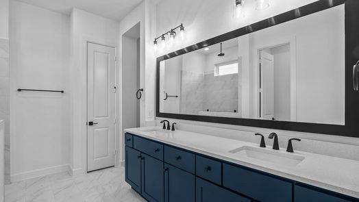 Conroe 1-story, 4-bed 1006 Raindrop Creek Lane-idx
