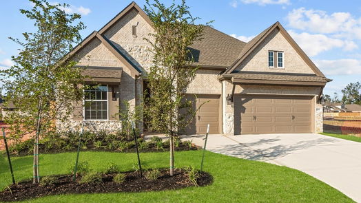 Conroe 1-story, 4-bed 1006 Raindrop Creek Lane-idx