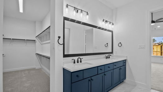 Conroe 1-story, 4-bed 1006 Raindrop Creek Lane-idx