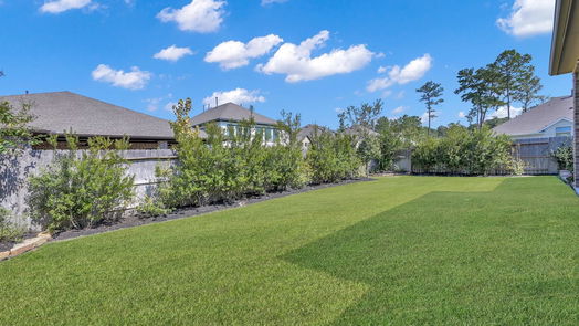 Conroe 1-story, 4-bed 17441 Violet Vineyard Street-idx