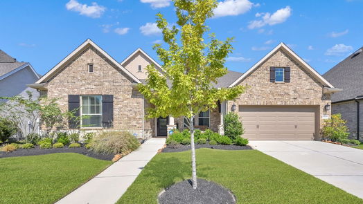 Conroe 1-story, 4-bed 17441 Violet Vineyard Street-idx