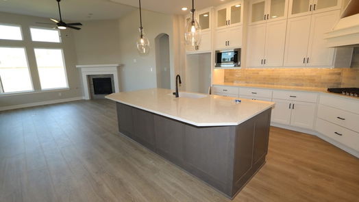 Conroe 2-story, 4-bed 906 Raindrop Creek Court-idx