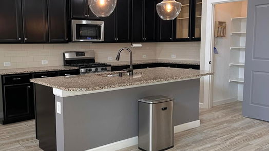 Crosby 2-story, 4-bed 18027 Salt Meadow Lane-idx