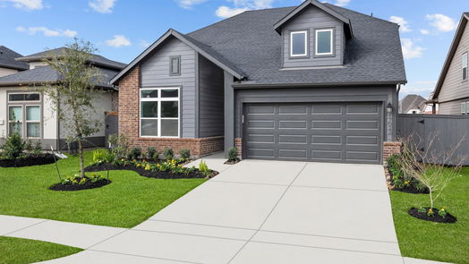 Hockley 2-story, 4-bed 17023 Luminous Lane-idx