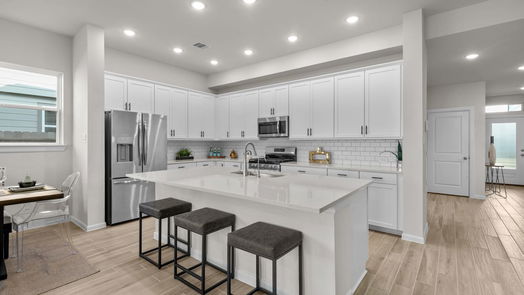 Hockley 2-story, 4-bed 17023 Luminous Lane-idx
