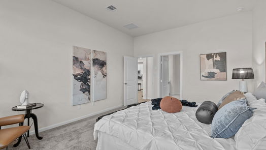 Hockley 2-story, 4-bed 17023 Luminous Lane-idx
