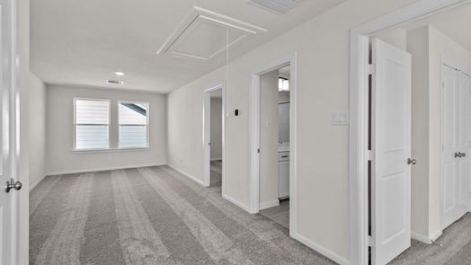 Hockley 2-story, 4-bed 17023 Luminous Lane-idx