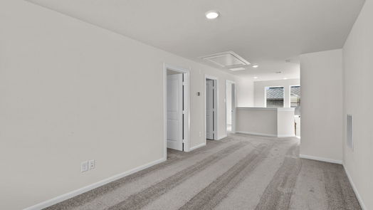 Hockley 2-story, 4-bed 17023 Luminous Lane-idx