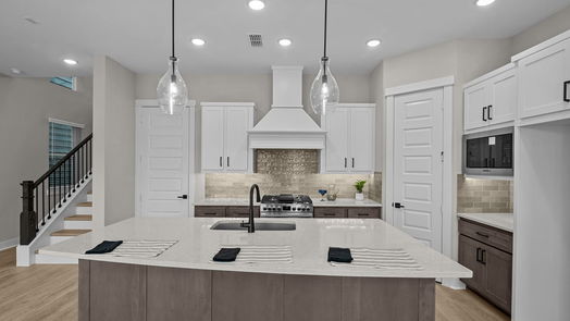 Houston 2-story, 3-bed 16022 Mason Run Drive-idx