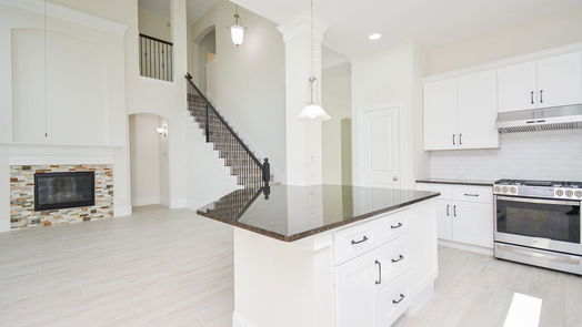 Katy 2-story, 4-bed 24614 Blue Opal Lane-idx