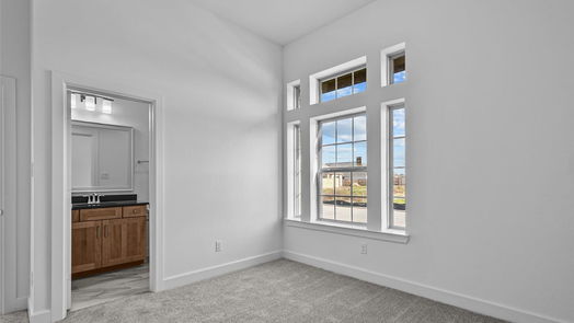 Manvel 1-story, 4-bed 10014 Starry Night Lane-idx