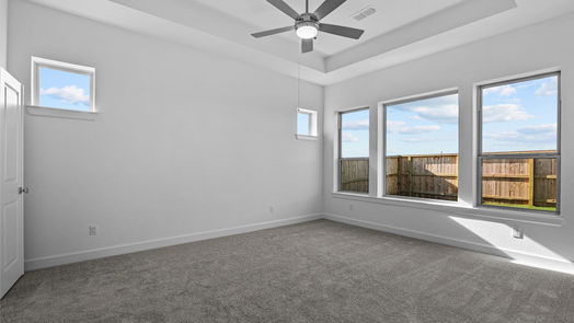 Manvel 1-story, 4-bed 10014 Starry Night Lane-idx