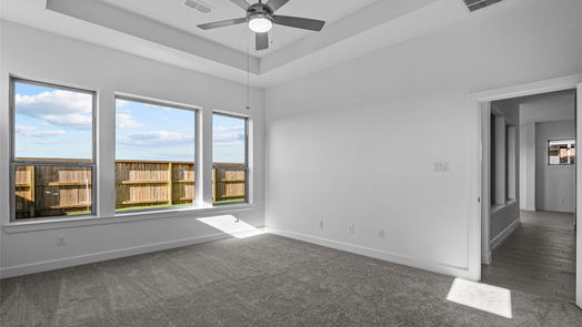 Manvel 1-story, 4-bed 10014 Starry Night Lane-idx
