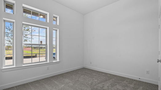 Manvel 1-story, 4-bed 10014 Starry Night Lane-idx