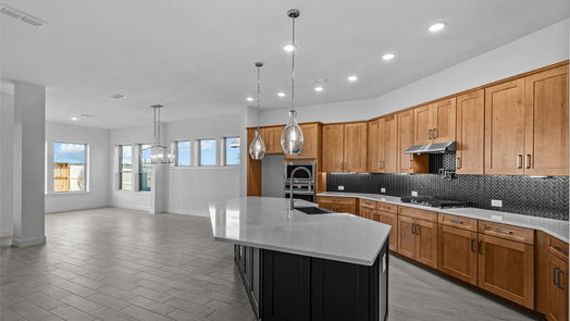 Manvel 1-story, 4-bed 10014 Starry Night Lane-idx
