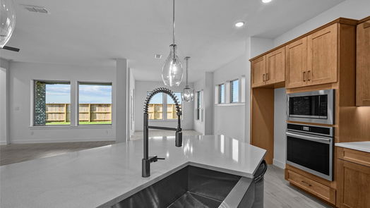 Manvel 1-story, 4-bed 10014 Starry Night Lane-idx