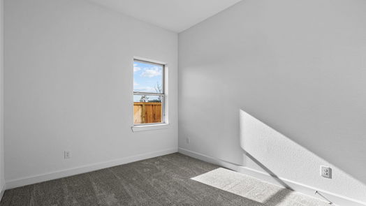 Manvel 1-story, 4-bed 10014 Starry Night Lane-idx