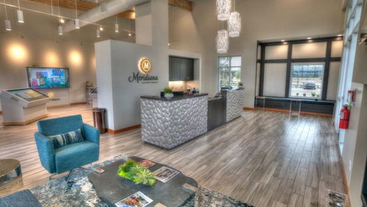 Manvel null-story, 4-bed 10106 Starry Night Lane-idx