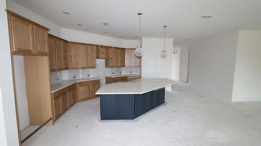 Manvel 1-story, 4-bed 10134 Starry Night Lane-idx