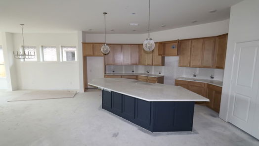 Manvel 1-story, 4-bed 10134 Starry Night Lane-idx
