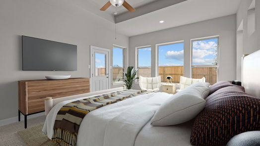 Manvel null-story, 4-bed 10106 Starry Night Lane-idx