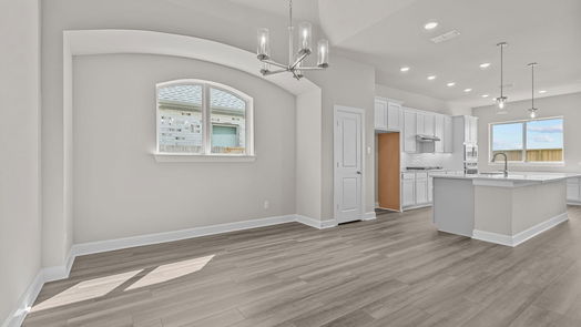 Manvel null-story, 4-bed 10106 Starry Night Lane-idx