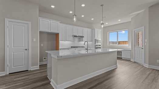 Manvel null-story, 4-bed 10106 Starry Night Lane-idx