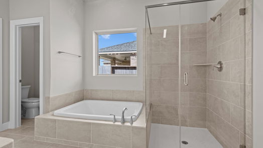 Manvel null-story, 4-bed 10106 Starry Night Lane-idx