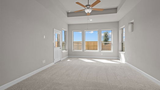 Manvel null-story, 4-bed 10106 Starry Night Lane-idx