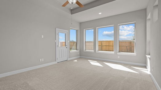 Manvel null-story, 4-bed 10106 Starry Night Lane-idx