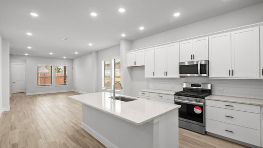 Missouri City null-story, 3-bed 1439 Park Path Drive-idx