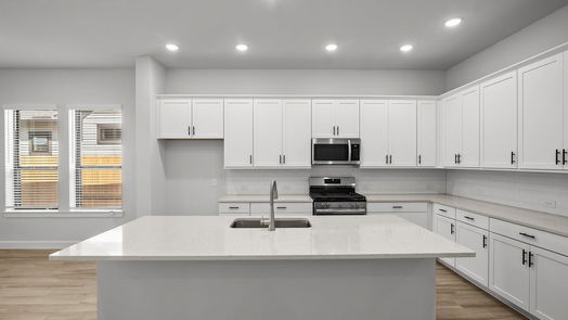 Missouri City null-story, 3-bed 1439 Park Path Drive-idx