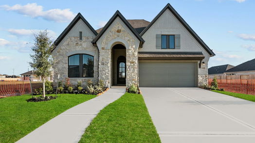 Mont Belvieu 1-story, 4-bed 12334 Palmetto Drive-idx