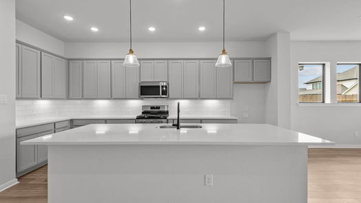 Mont Belvieu 1-story, 4-bed 12334 Palmetto Drive-idx