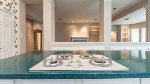 Sugar Land 1-story, 4-bed 1143 Oak Glen Lane-idx