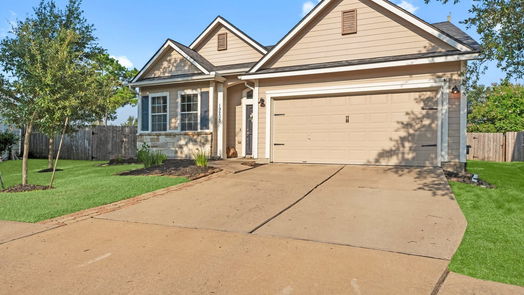 Tomball 1-story, 4-bed 19203 Mossy Pointe Lane-idx