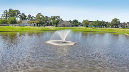 Tomball 1-story, 3-bed 18830 Magnolia Arbor Lane-idx