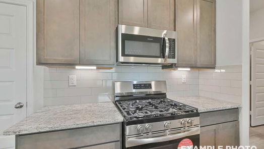 Magnolia 1-story, 3-bed 8347 Bristlecone Pine Way-idx