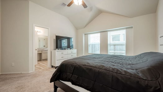 Rosharon 1-story, 4-bed 10334 Greenhorn Lane-idx